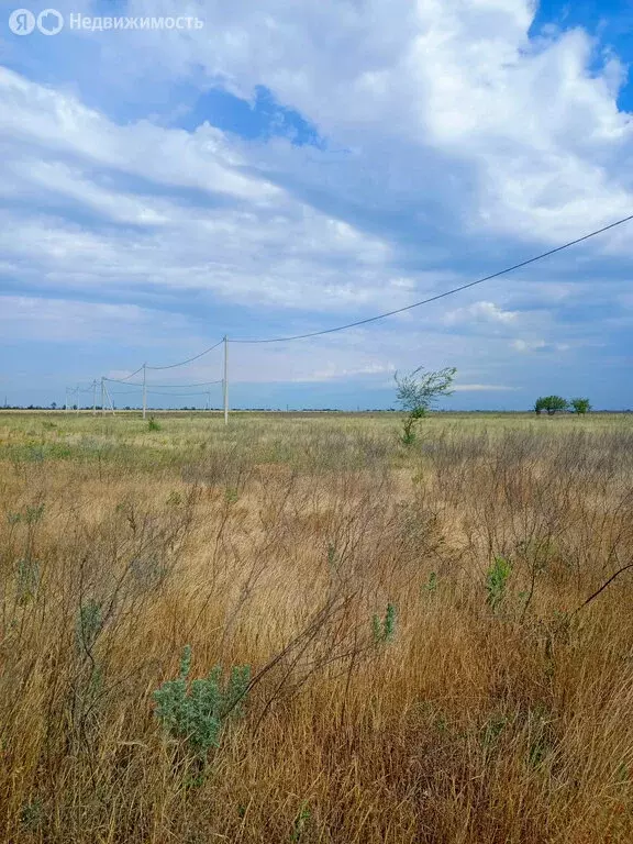 Участок в Новочеркасск, улица Овечкина, 20 (6 м) - Фото 0