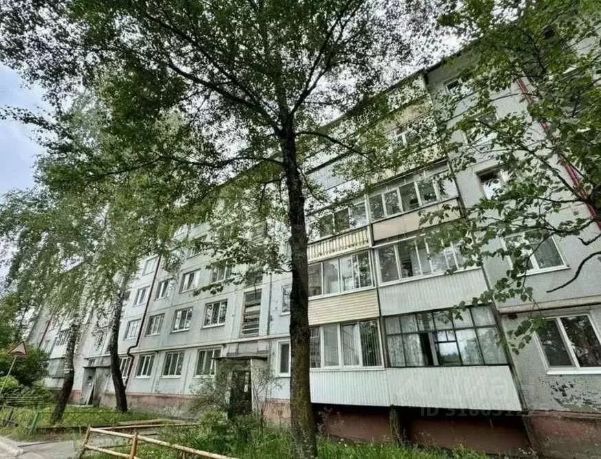 2-к кв. Брянская область, Брянск ул. Чернышевского, 52Б (53.2 м) - Фото 0