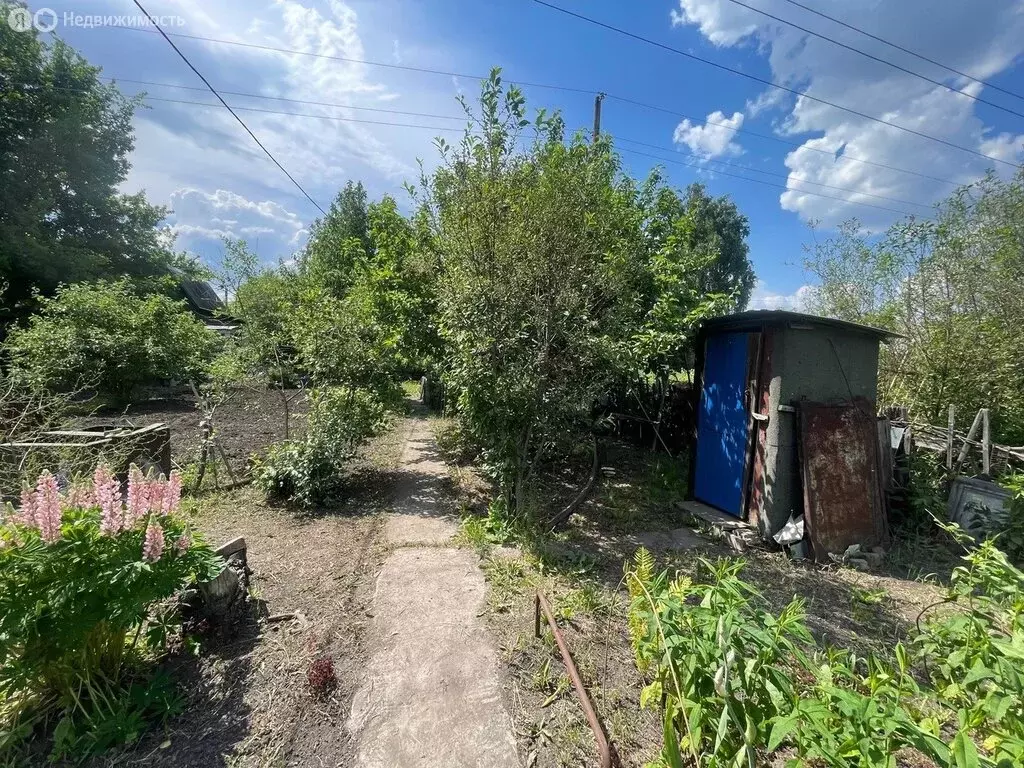 Дом в Омск, садоводческое некоммерческое товарищество Рассвет (43 м) - Фото 0