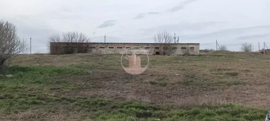 Помещение свободного назначения в Крым, Симферопольский район, ... - Фото 0