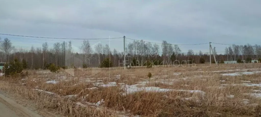 Участок в Тюменская область, Тюменский район, д. Якуши ул. Х. ... - Фото 1