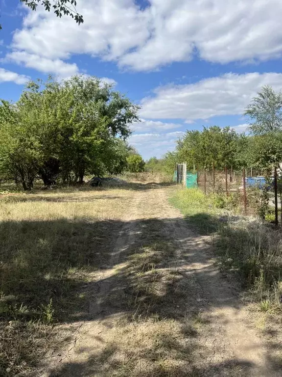 Участок в Ростовская область, Родионово-Несветайский район, ... - Фото 0