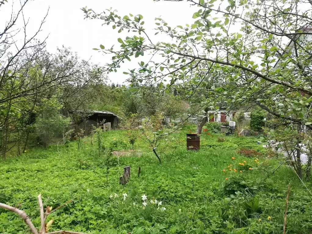 Участок 3,6 сот. (СНТ, ДНП) - Фото 0