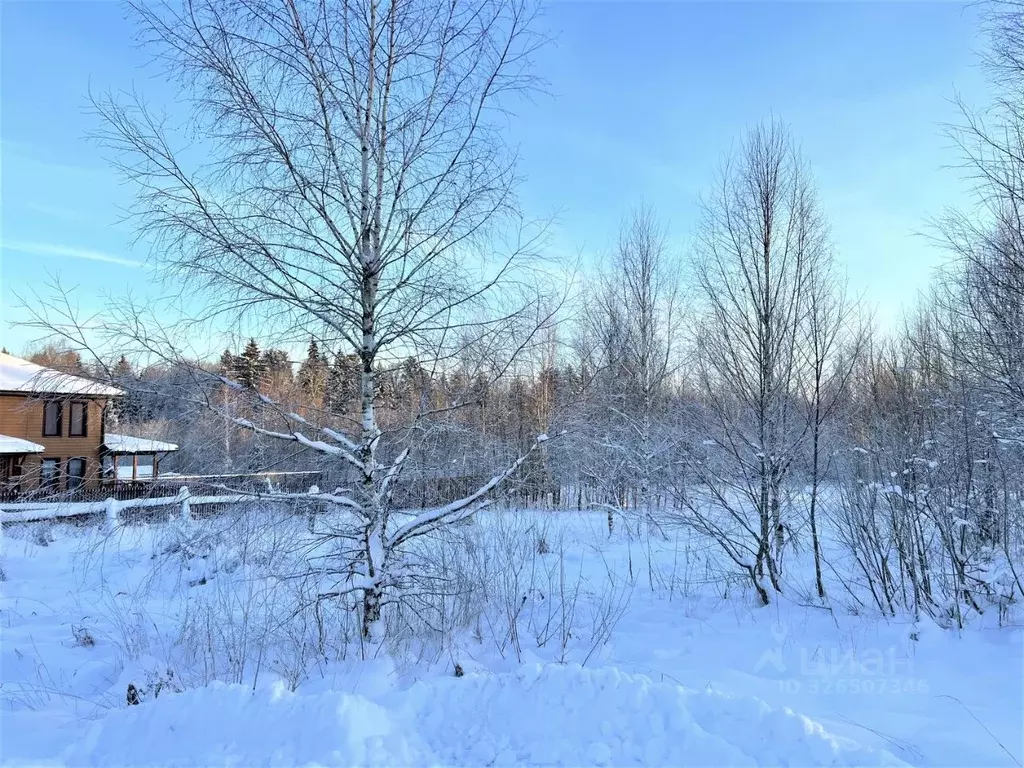 Участок в Московская область, Мытищи городской округ, д. Шолохово ул. ... - Фото 1