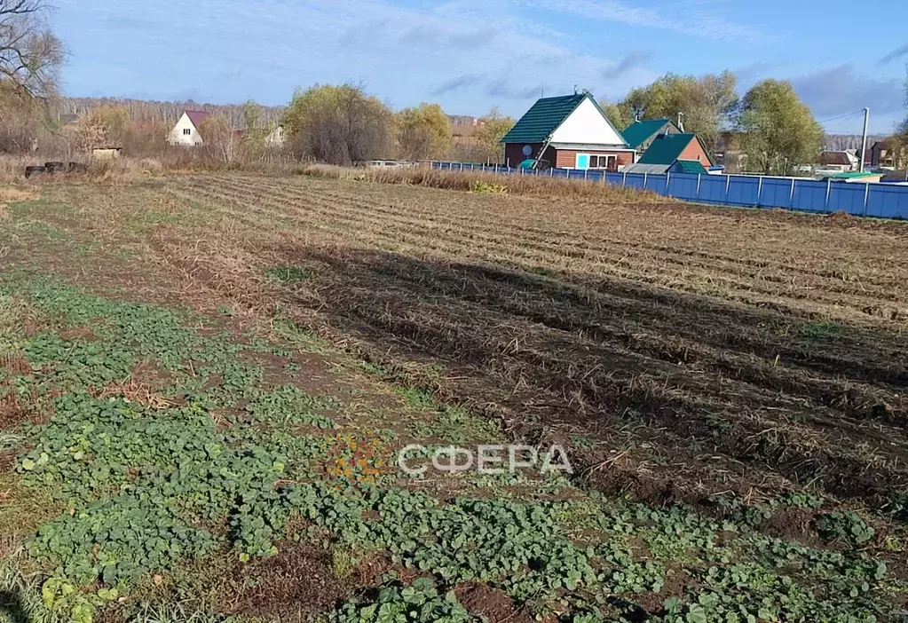 Участок в Новосибирская область, Новосибирский район, с. Криводановка ... - Фото 1