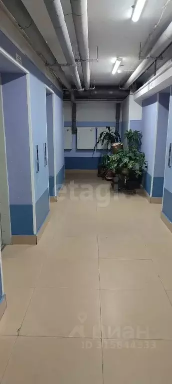 2-к кв. Приморский край, Владивосток Монтажная ул., 11Б (54.5 м) - Фото 0