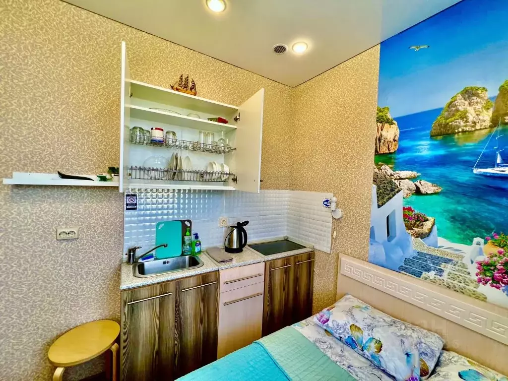 1-к кв. Татарстан, Казань Щербаковский пер., 7 (20.0 м) - Фото 2