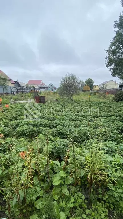 Участок в Сахалинская область, Южно-Сахалинск Ласточка СДТ,  (6.85 ... - Фото 1