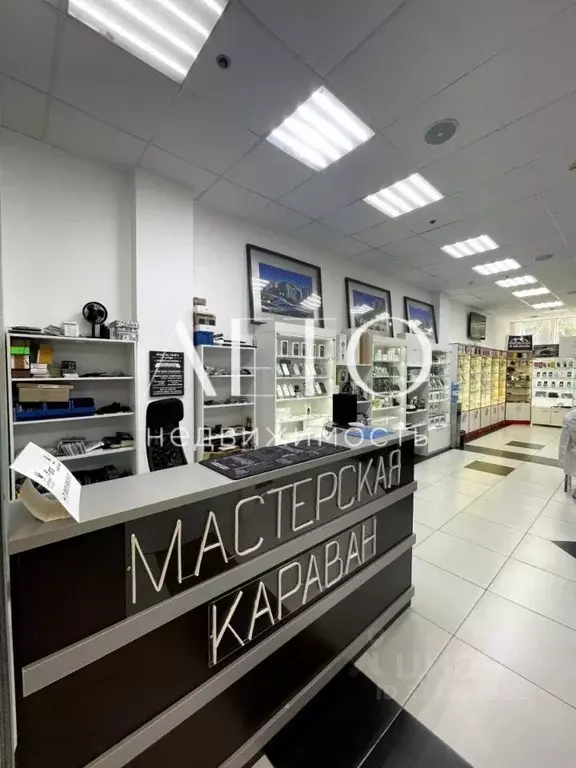 Торговая площадь в Краснодарский край, Сочи Центральный мкр, ул. ... - Фото 0