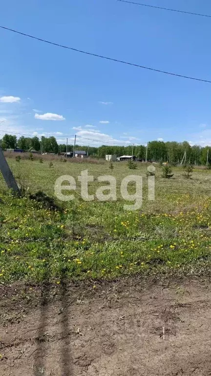 Участок в Красноярский край, Емельяново городское поселение, ... - Фото 0