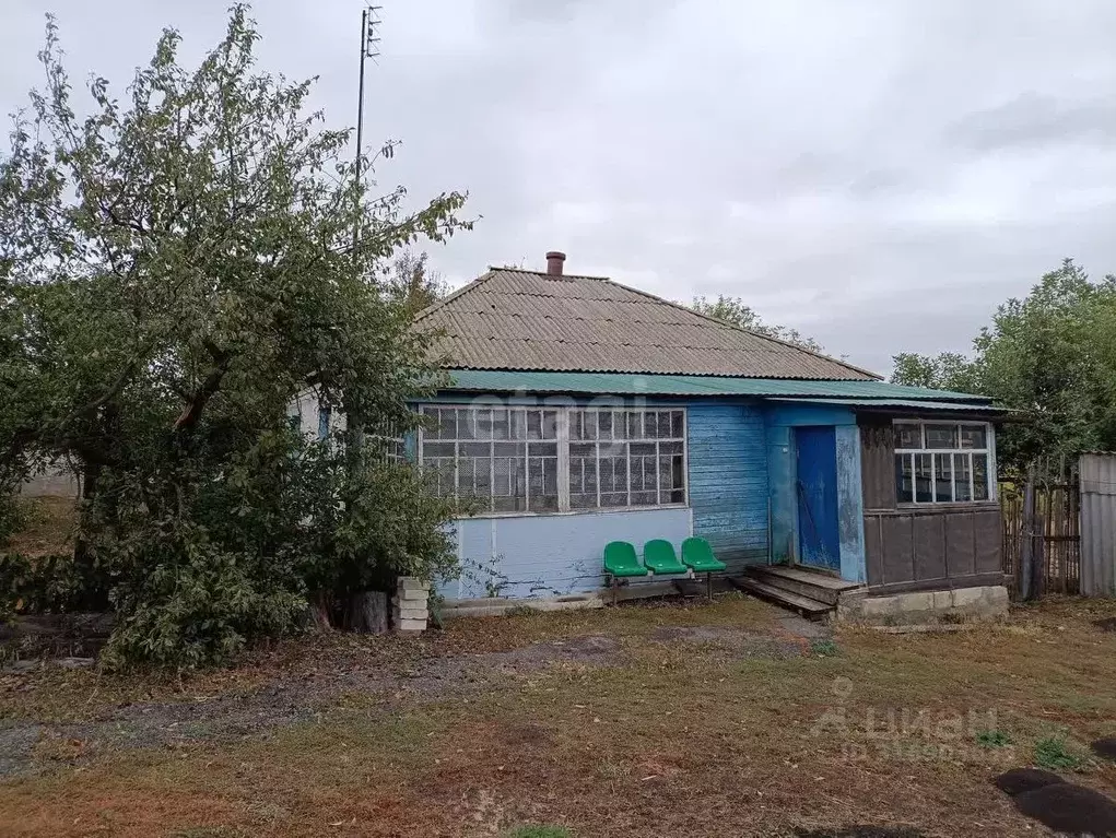 Дом в Белгородская область, Вейделевский район, Николаевское с/пос, с. ... - Фото 1