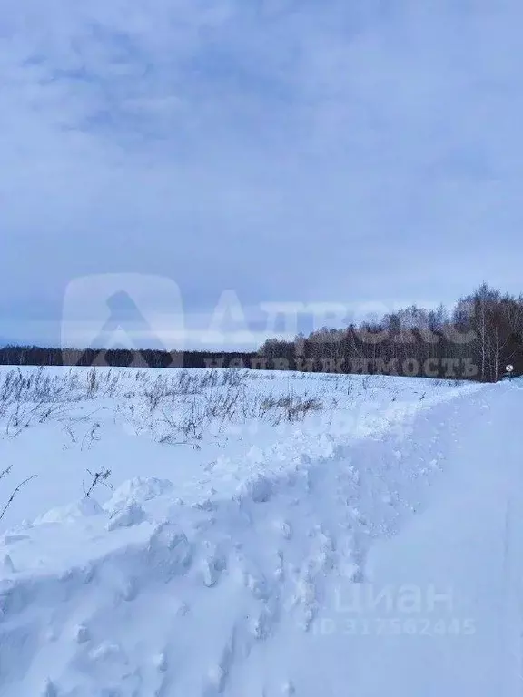 Участок в Тюменская область, Нижнетавдинский район, Строитель ТСН  ... - Фото 2