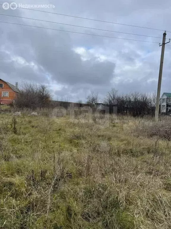 Участок в Воронежская область, рабочий посёлок Хохольский (14 м) - Фото 2