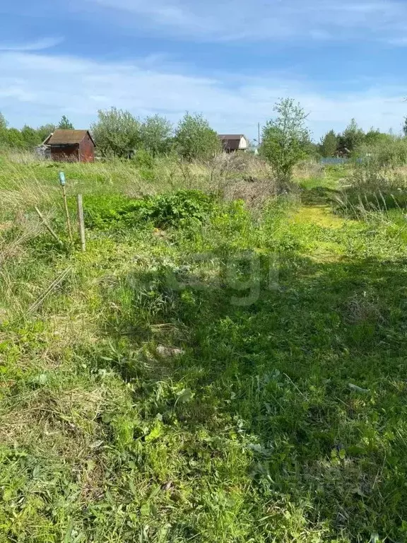 Участок в Ярославская область, Тутаевский муниципальный округ, ... - Фото 1