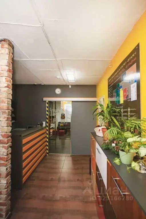 Помещение свободного назначения в Калининградская область, Светлогорск ... - Фото 1