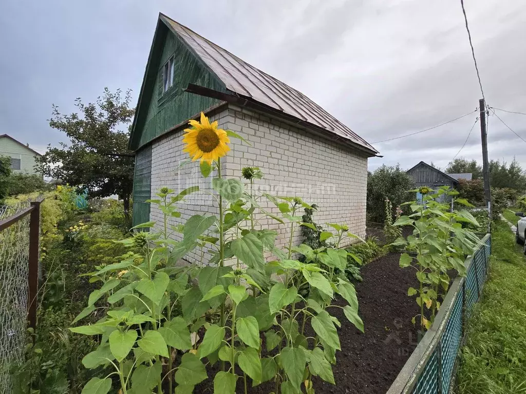 Дом в Владимирская область, Ковров № 14 СНТ, 307 (33 м) - Фото 2