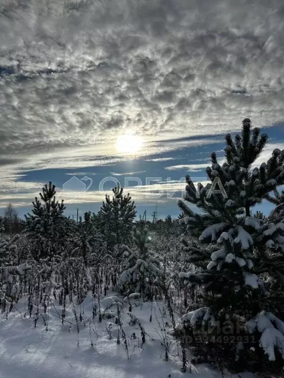 Участок в Тюменская область, Тюменский муниципальный округ, д. Елань ... - Фото 1