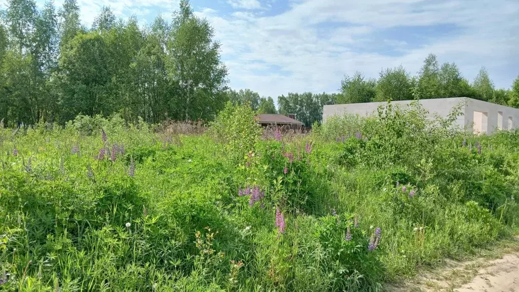 Участок в Нижегородская область, Богородский муниципальный округ, д. ... - Фото 0