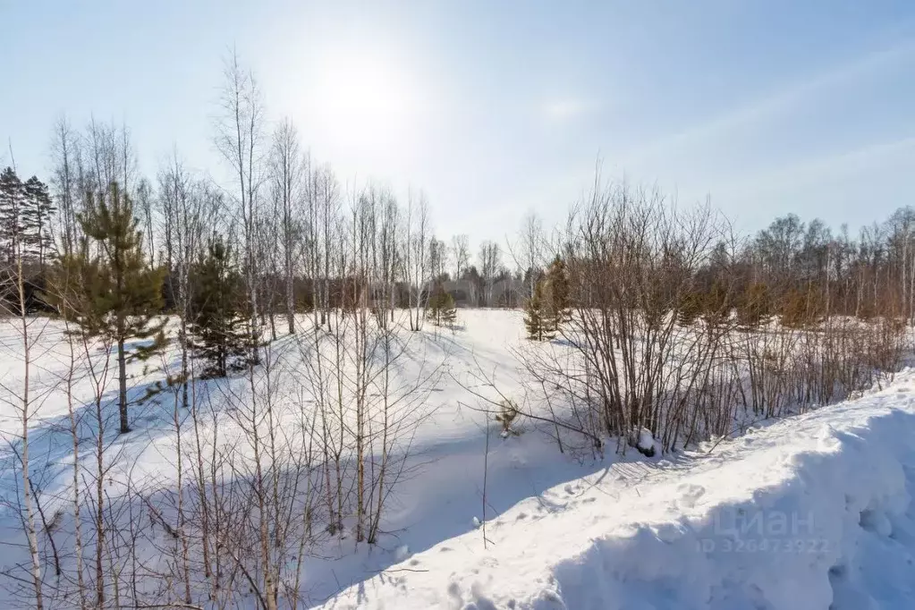 Участок в Тюменская область, Тюменский муниципальный округ, ... - Фото 1