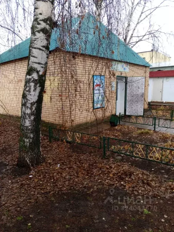 Помещение свободного назначения в Самарская область, с. Кошки  (43 м) - Фото 2