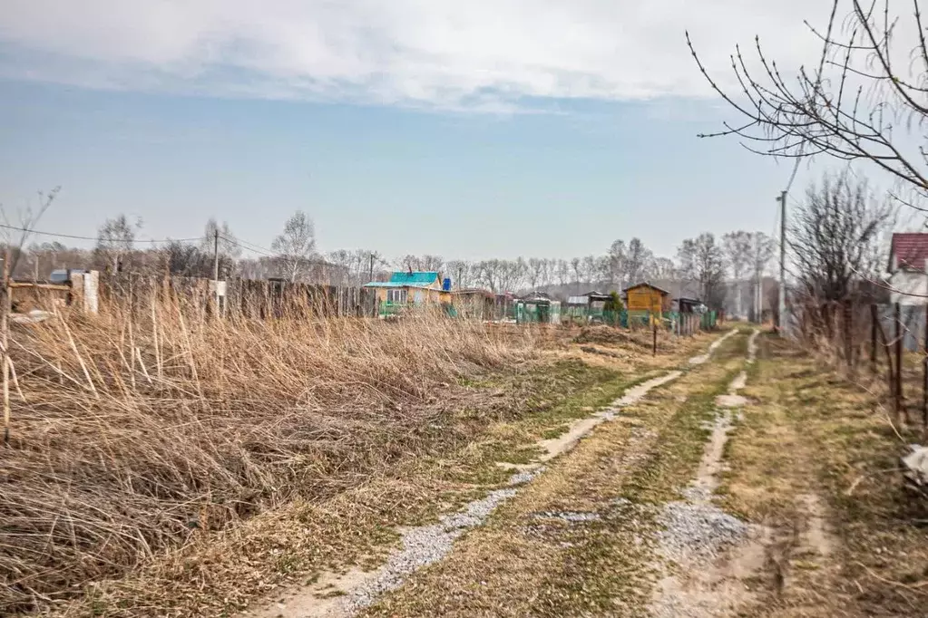 Участок в Новосибирская область, Искитимский район, Мичуринский ... - Фото 1