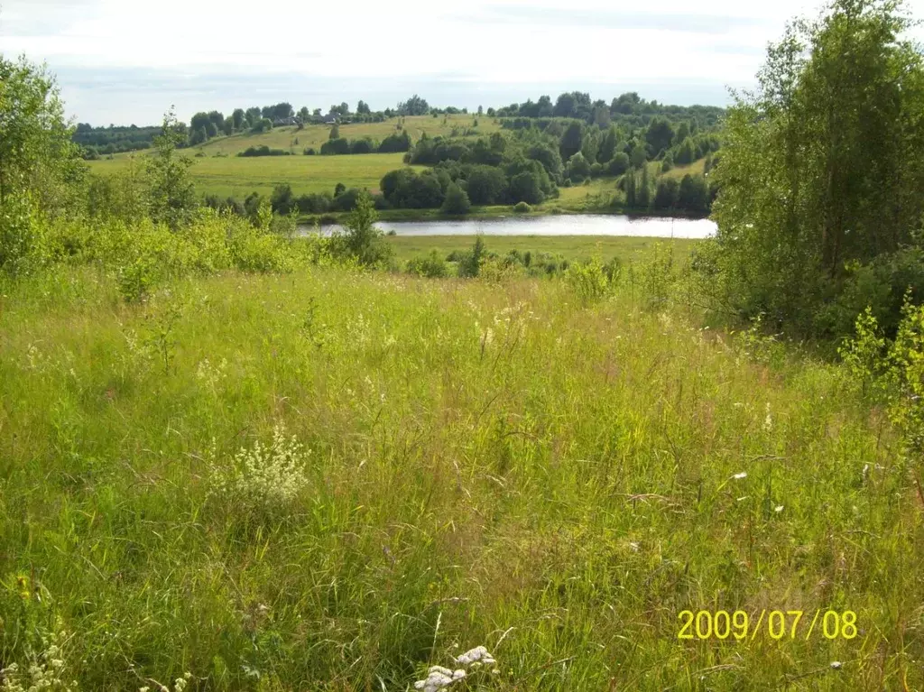 Участок в Ярославская область, Брейтовский муниципальный округ, с. ... - Фото 0