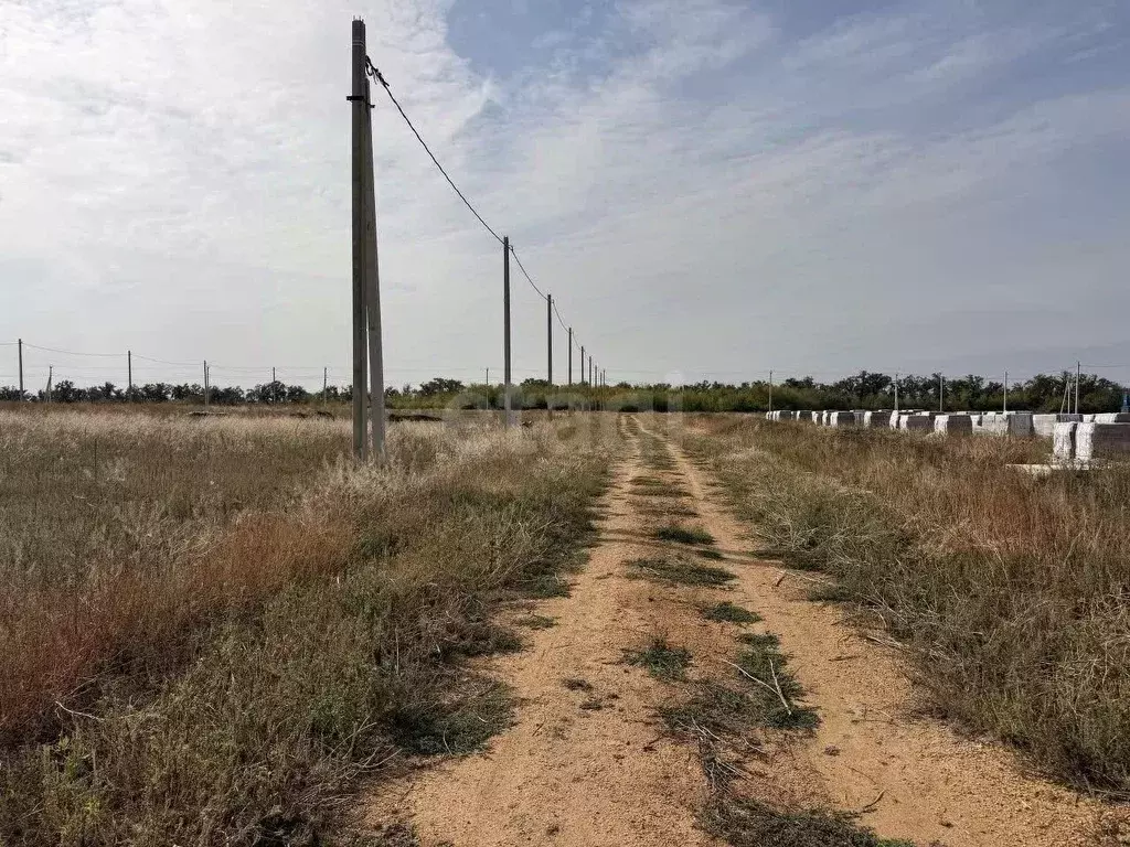 Участок в Ростовская область, Мясниковский район, с. Большие Салы ул. ... - Фото 2