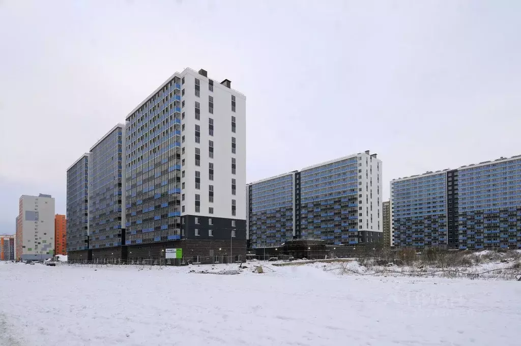 Помещение свободного назначения в Ленинградская область, Мурино ... - Фото 1