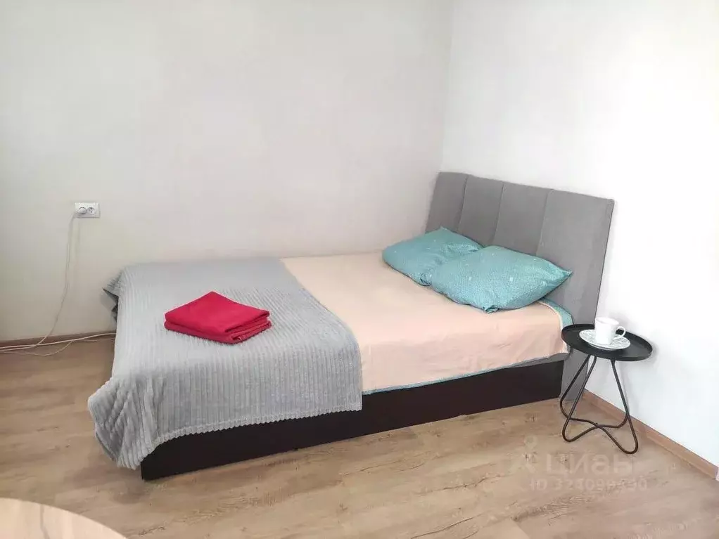 1-к кв. Алтайский край, Бийск Ленинградская ул., 40 (25.0 м) - Фото 1