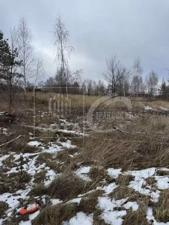 Участок в Воронежская область, с. Новая Усмань ул. Нахимовская, 93 ... - Фото 1