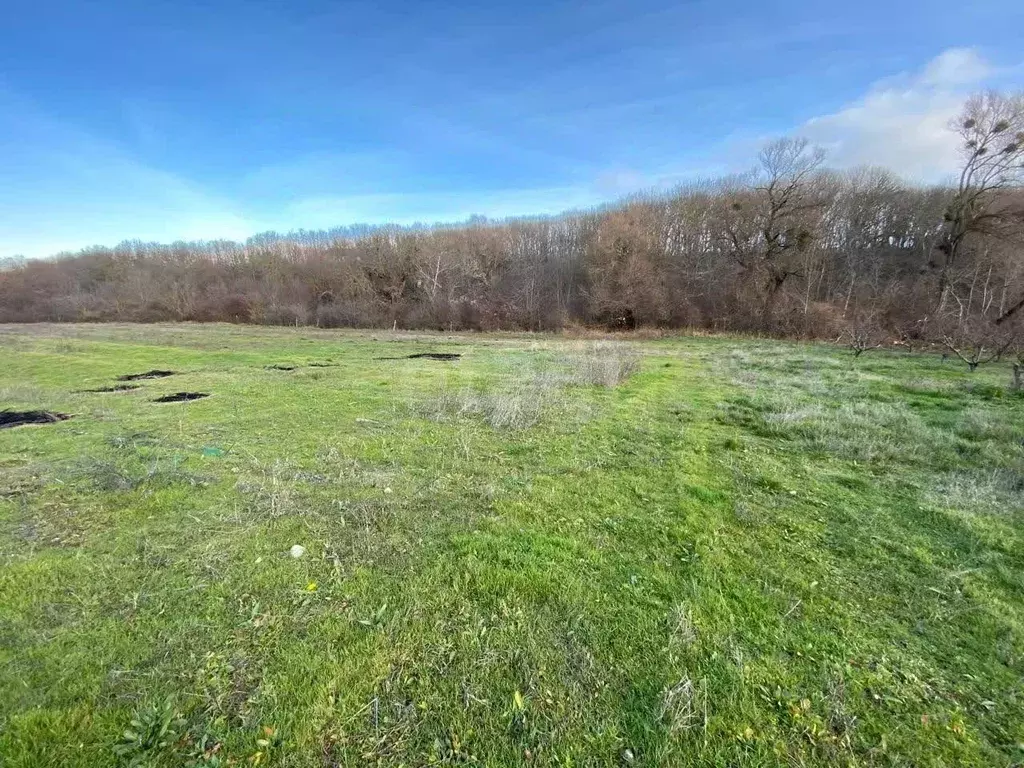 Участок в Крым, Симферопольский район, Добровское с/пос, с. ... - Фото 2