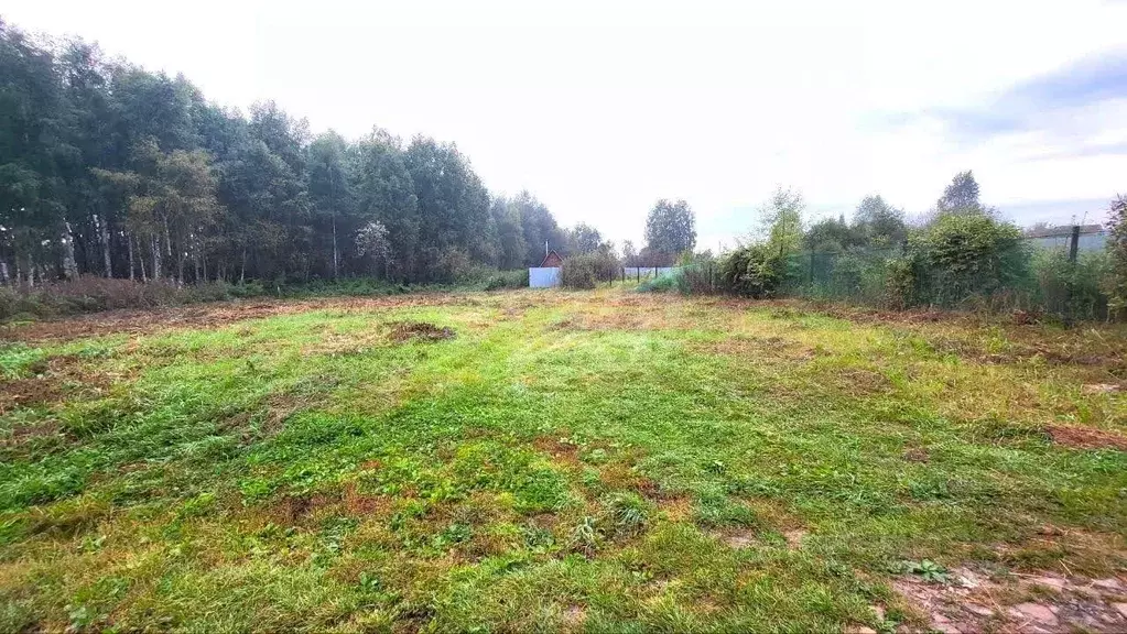 Участок в Тюменская область, Тюмень Садовое товарищество Липовый ... - Фото 0