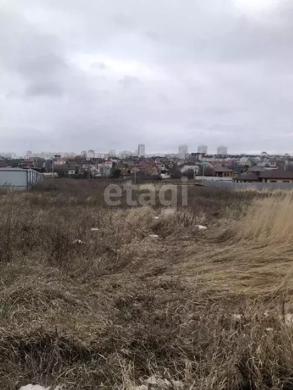 Участок в Белгородская область, Белгородский район, Дубовское с/пос, ... - Фото 0