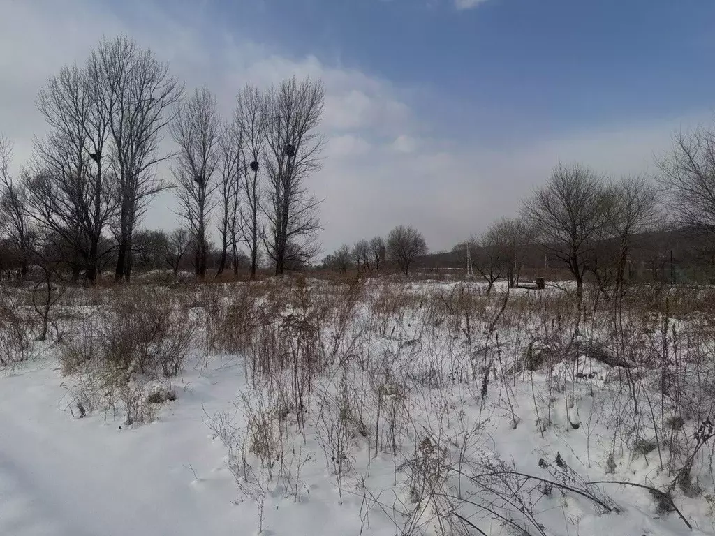 Участок в Приморский край, Уссурийский городской округ, с. Глуховка ... - Фото 1