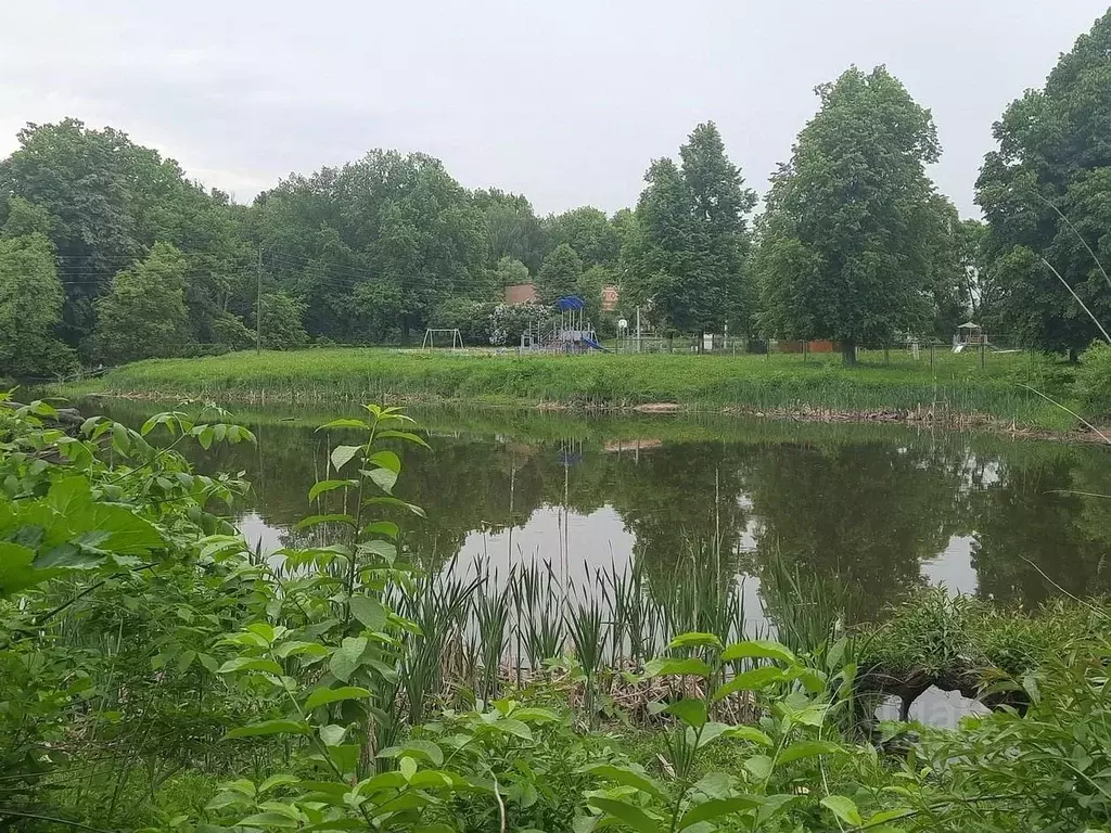 Участок в Московская область, Коломна городской округ, д. Малое ... - Фото 2