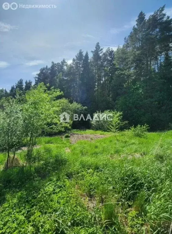 Участок в Бор, СНТ Кружевница, 50 (5 м) - Фото 2