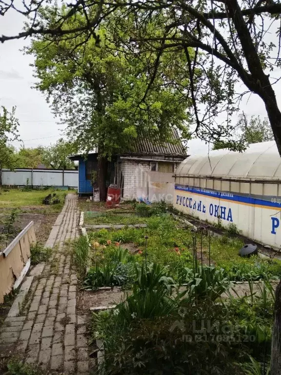 Дом в Брянская область, Брянск Мичуринец садовое общество, 325 (28 м) - Фото 1