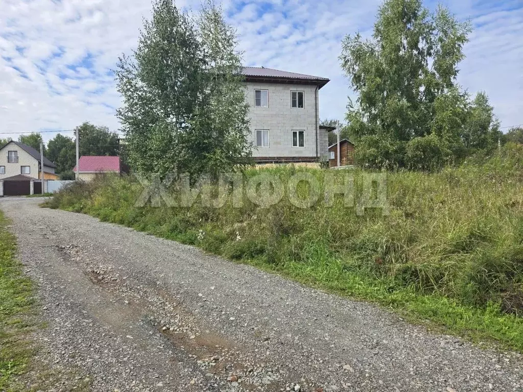 Участок в Новосибирская область, Новосибирск Зеленодолинская ул., 209 ... - Фото 2