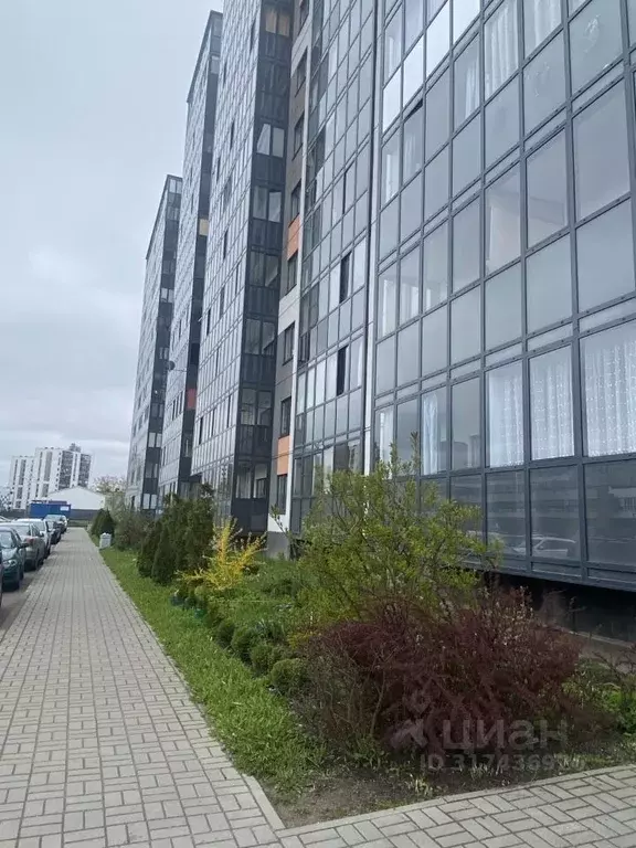1-к кв. Ленинградская область, Ломоносовский район, Аннинское ... - Фото 0