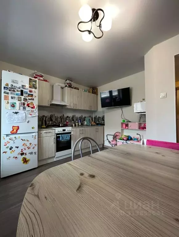 1-к кв. Владимирская область, Владимир ул. Нижняя Дуброва, 21 (41.5 м) - Фото 1