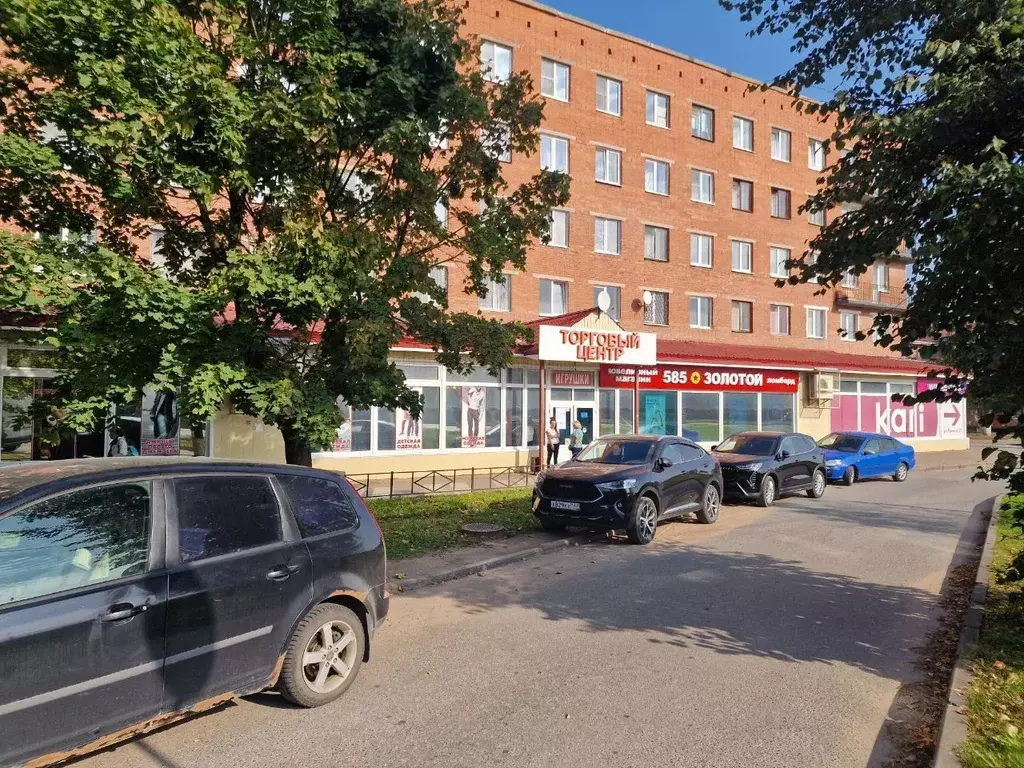 Торговая площадь в Ленинградская область, Сланцы ул. Ленина, 11 (50 м) - Фото 2