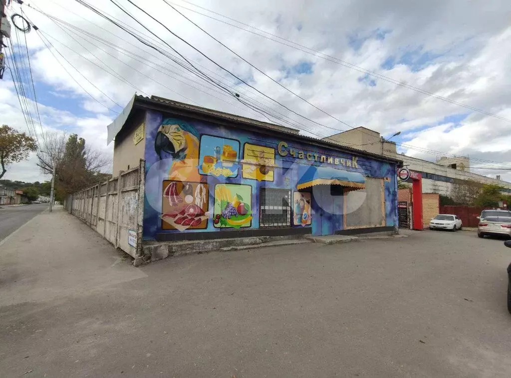 Торговая площадь (68 м) - Фото 1