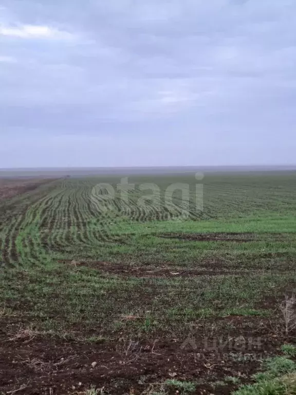 Участок в Крым, Сакский район, с. Молочное  (456.4 сот.) - Фото 0