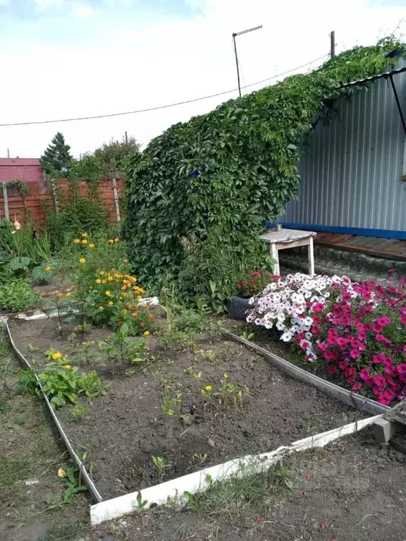 Дом в Омская область, Омский район муниципальный округ, Ключевское ... - Фото 1