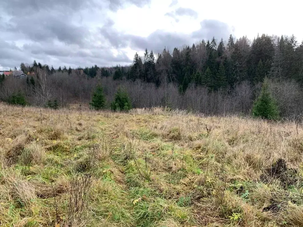 Участок в Московская область, Истра ул. Ленина, Река Истра (8.3 сот.) - Фото 1