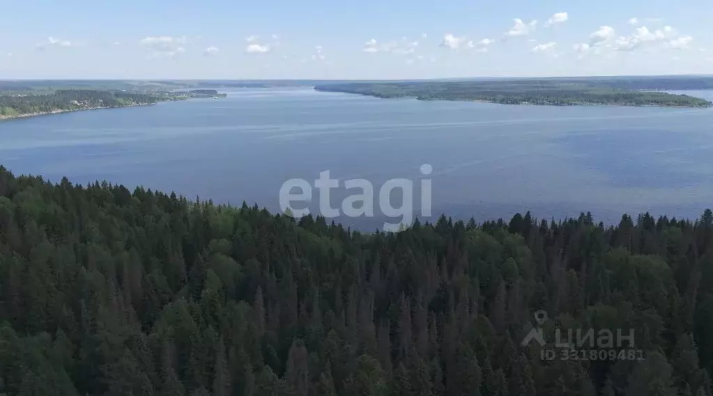 Участок в Пермский край, Пермский муниципальный округ, д. Канабеково, ... - Фото 1