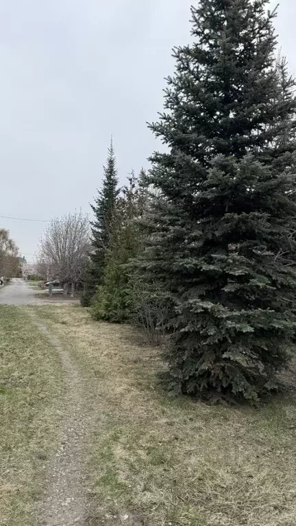 Участок в Самарская область, Тольятти Платановая ул., 11 (11.0 сот.) - Фото 0