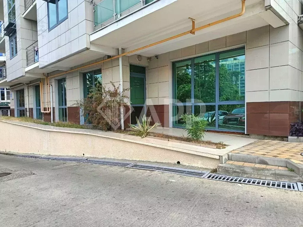 Помещение свободного назначения в Краснодарский край, Сочи Курортный ... - Фото 1