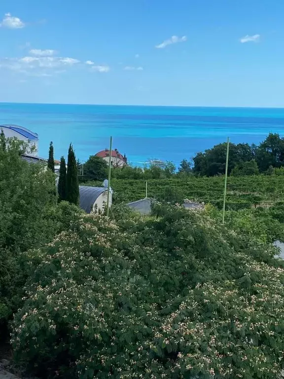 2-к кв. Крым, Ялта муниципальный округ, Ливадия пгт ул. Виноградная, ... - Фото 1