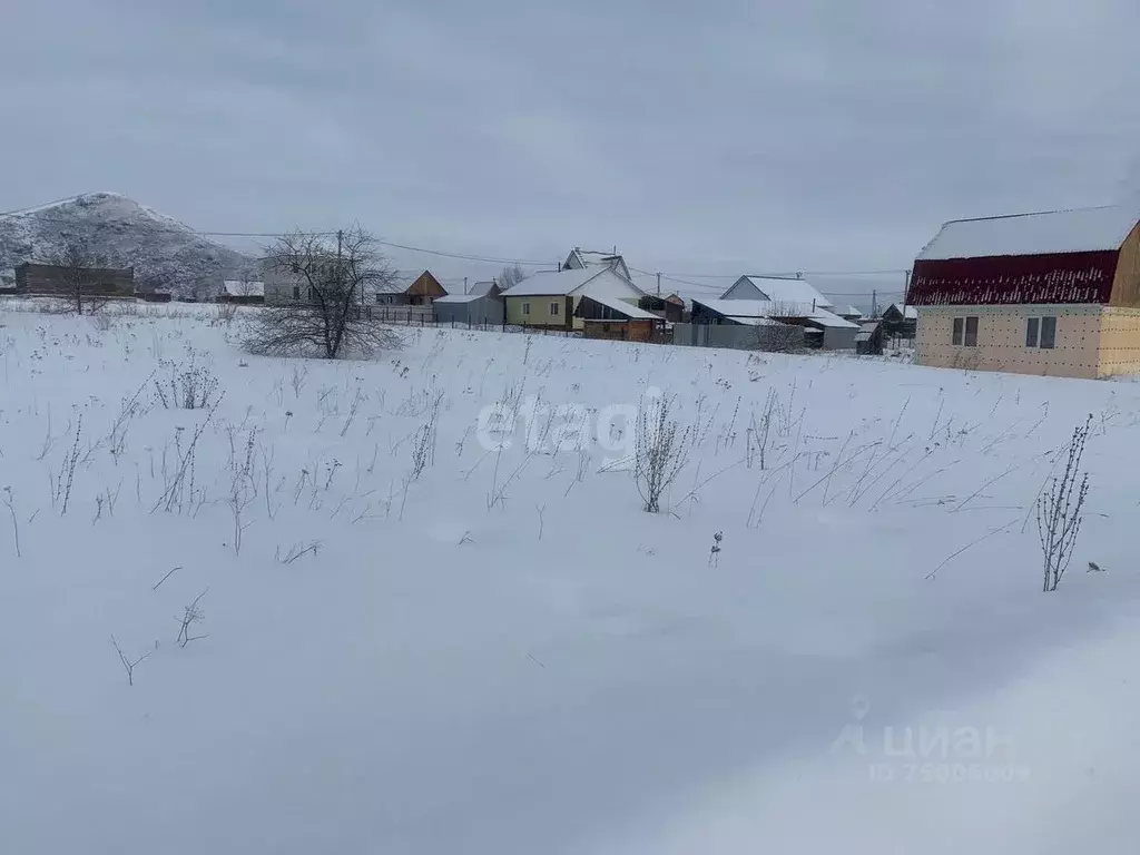 Участок в Алтай, Майминский район, с. Подгорное ул. Катунская (8.0 ... - Фото 0